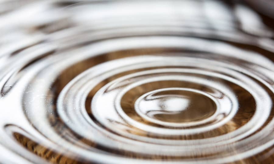 Leadership Development